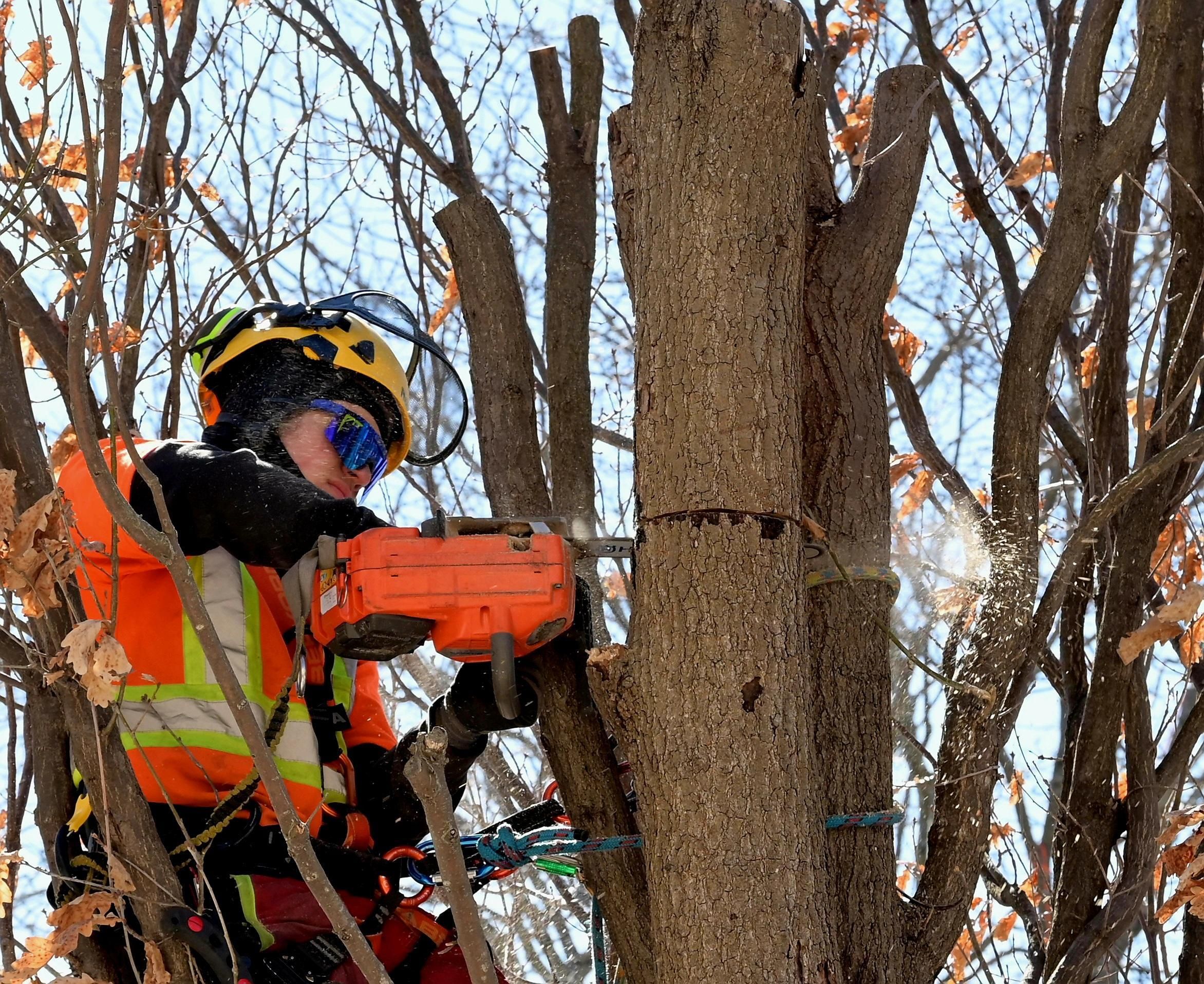 Élagueur certifié avec casque et tronçonneuse orange